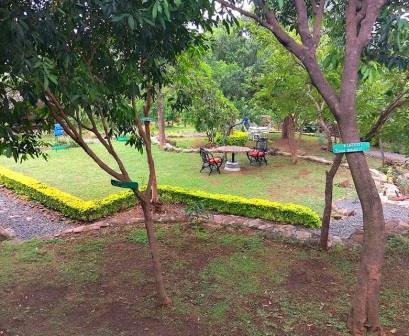Ole Soi Resort（住宿 / 休闲设施）-非行家旅行-Africa Wild Wander