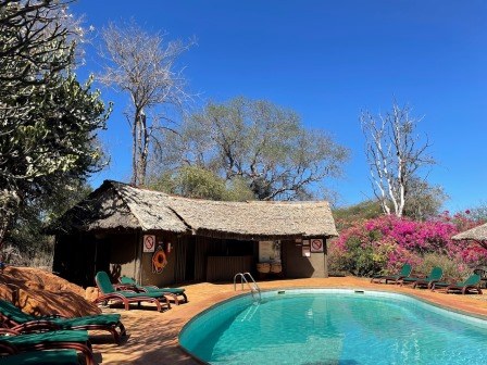Kilaguni Safari Lodge（Tsavo West / 火山与泉水）-非行家旅行-Africa Wild Wander