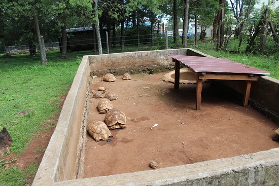 Kabarnet Museum-非行家旅行-Africa Wild Wander