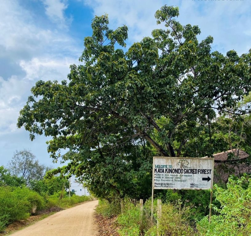 World Heritage Sites in Kenya（肯尼亚世界遗产）-非行家旅行-Africa Wild Wander