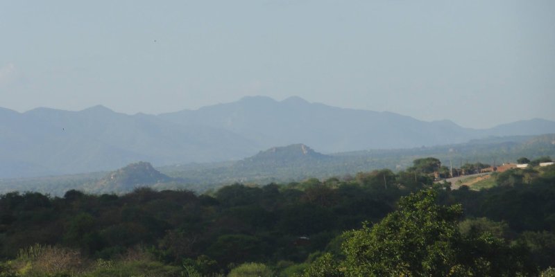 Forests of Kenya（自然景观 / 徒步）-非行家旅行-Africa Wild Wander