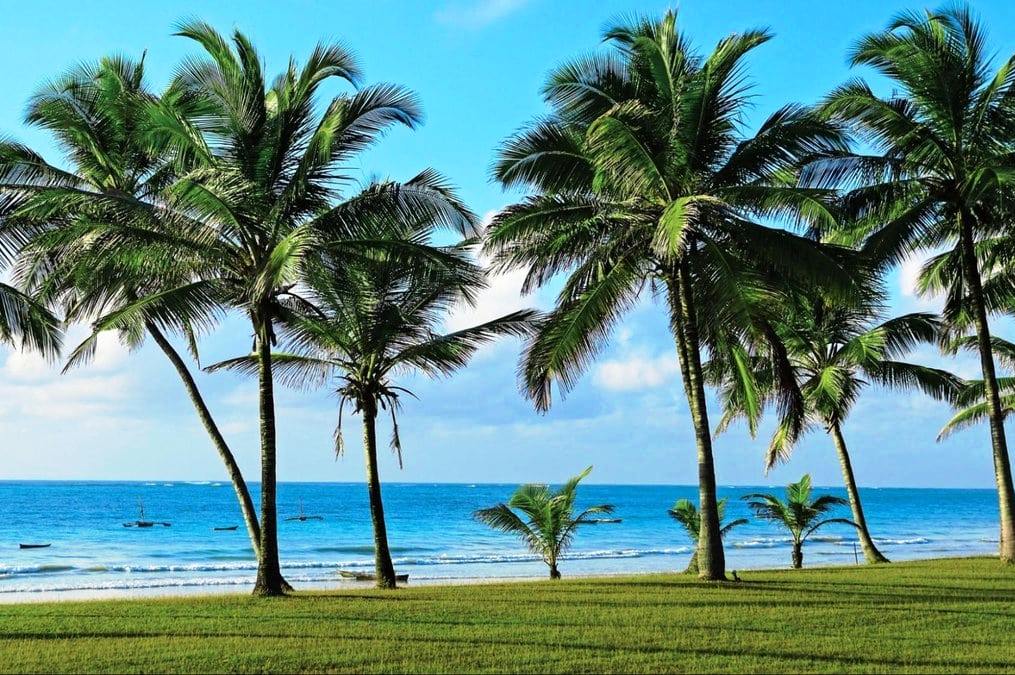Diani Beach（迪亚尼海滩）-非行家旅行-Africa Wild Wander