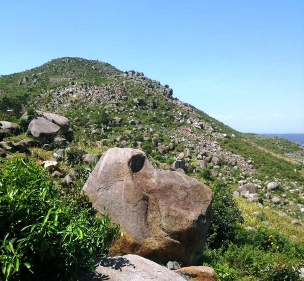 Bunyore Hills（布尼奥雷丘陵）-非行家旅行-Africa Wild Wander