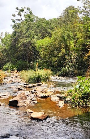 Thiba Falls（蒂巴瀑布）-非行家旅行-Africa Wild Wander