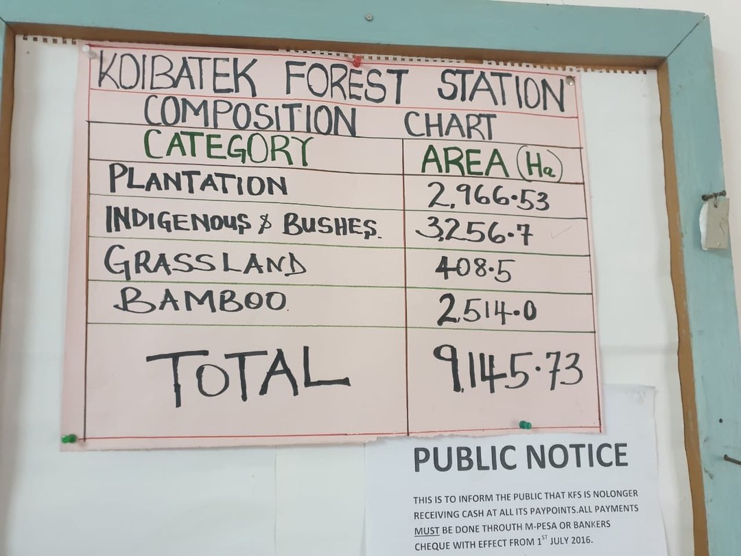 Koibatek Forest-非行家旅行-Africa Wild Wander