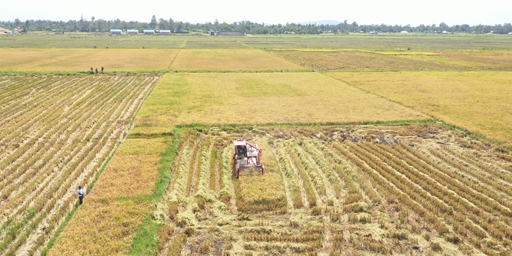 Bunyala Rice Scheme（水系 / 湖泊 / 海岸）-非行家旅行-Africa Wild Wander