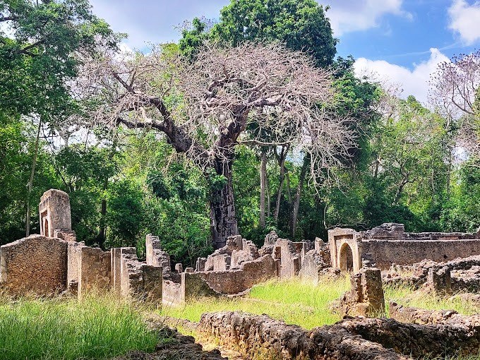 Gede Ruins（历史遗产 / 博物馆）-非行家旅行-Africa Wild Wander
