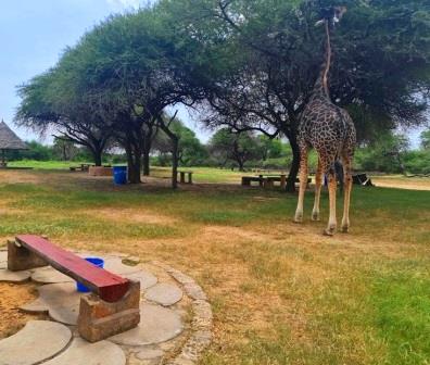 Nguuni Nature Sanctuary(生态公园 / 海洋保护)-非行家旅行-Africa Wild Wander