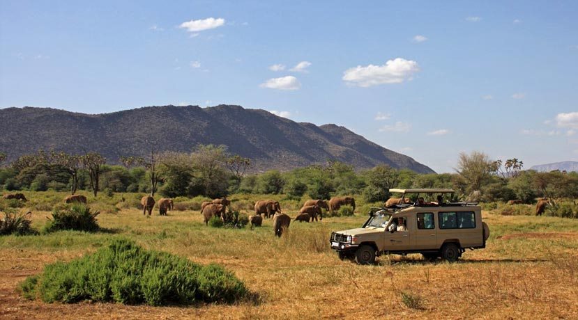 Meibai Conservancy（社区保护地 / 北部保护网络）-非行家旅行-Africa Wild Wander