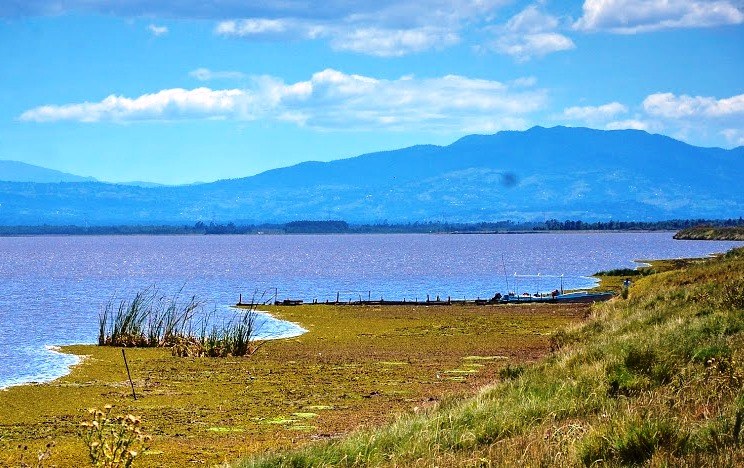 Nyandarua County（年达鲁阿县）-非行家旅行-Africa Wild Wander