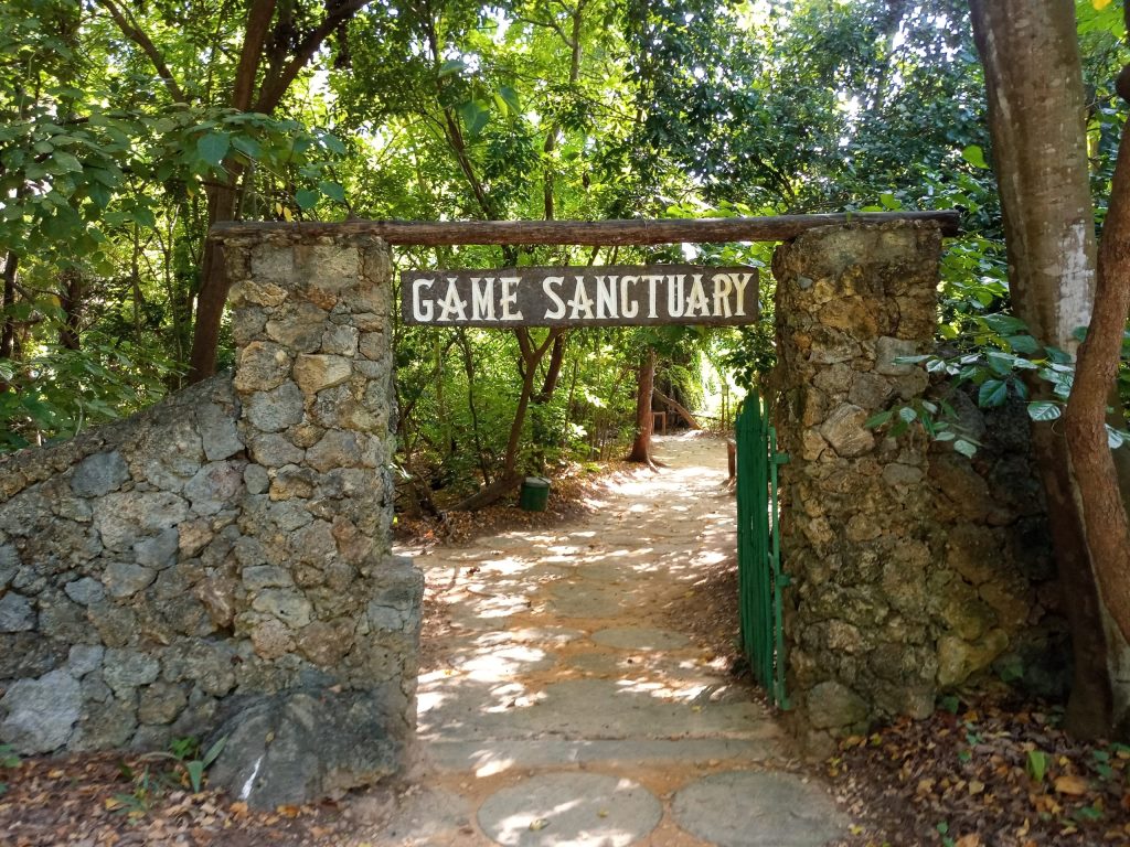 Nature Parks（自然地貌 / 户外）-非行家旅行-Africa Wild Wander