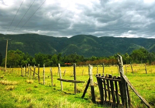 Wanjohi Valley（瀑布 / 森林水系）-非行家旅行-Africa Wild Wander
