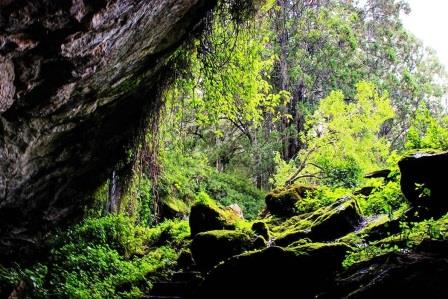 Ngwarisha Cave（恩瓜里沙洞穴）-非行家旅行-Africa Wild Wander