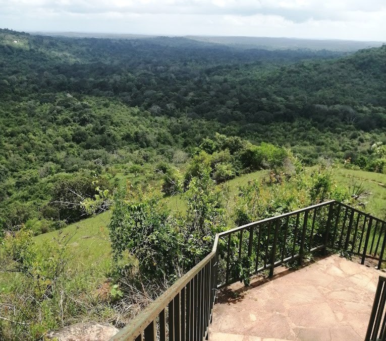 Elephant Lookout（保护区 / 野生动物）-非行家旅行-Africa Wild Wander