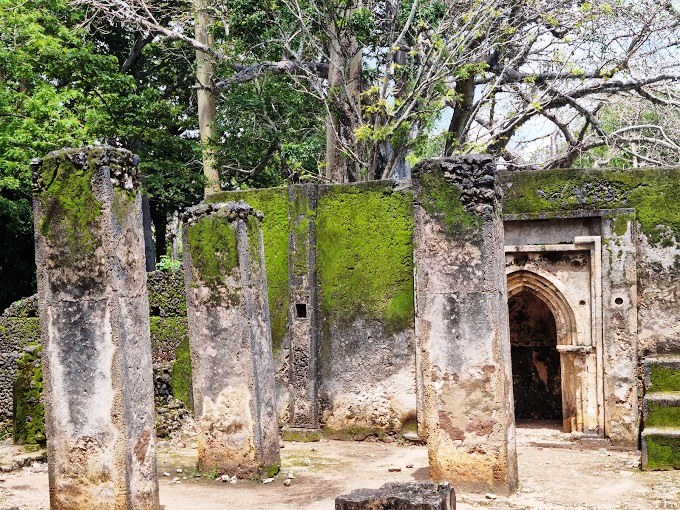 Gede Ruins（历史遗产 / 博物馆）-非行家旅行-Africa Wild Wander