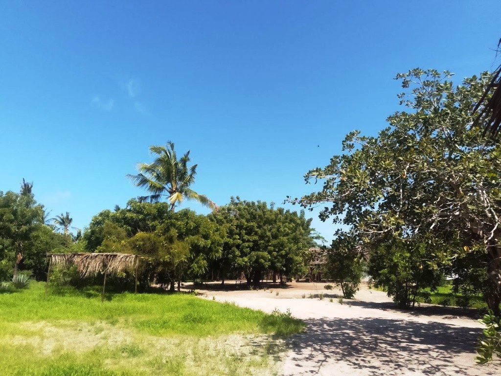 Mida Creek Nature Camp（水系 / 湖泊 / 海岸）-非行家旅行-Africa Wild Wander