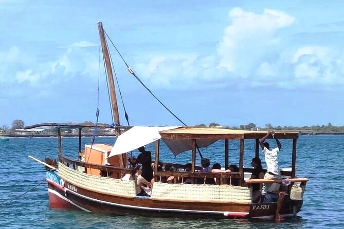 Wasini Dolphin Tour(海洋保护 / 海岛体验)-非行家旅行-Africa Wild Wander