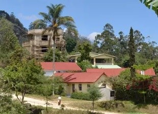Taita Research Station（泰塔研究站）-非行家旅行-Africa Wild Wander