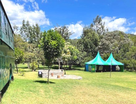 Malewa Bundu Camp(住宿休闲 / 艺术度假)-非行家旅行-Africa Wild Wander