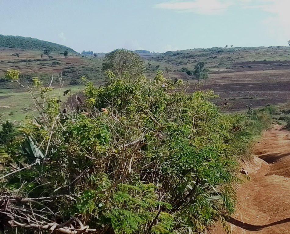 Trans-Mara Area（跨马拉区域）-非行家旅行-Africa Wild Wander