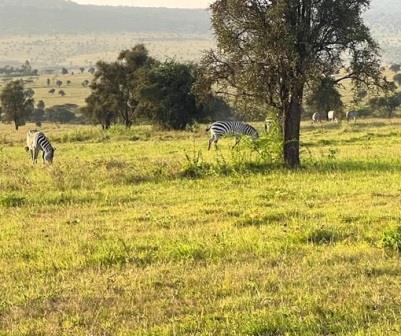 Maanzoni Sanctuary（Athi-Kapiti / Lukenya 生态）-非行家旅行-Africa Wild Wander