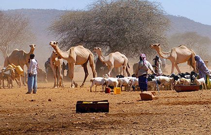 Mandera County（曼德拉县）-非行家旅行-Africa Wild Wander