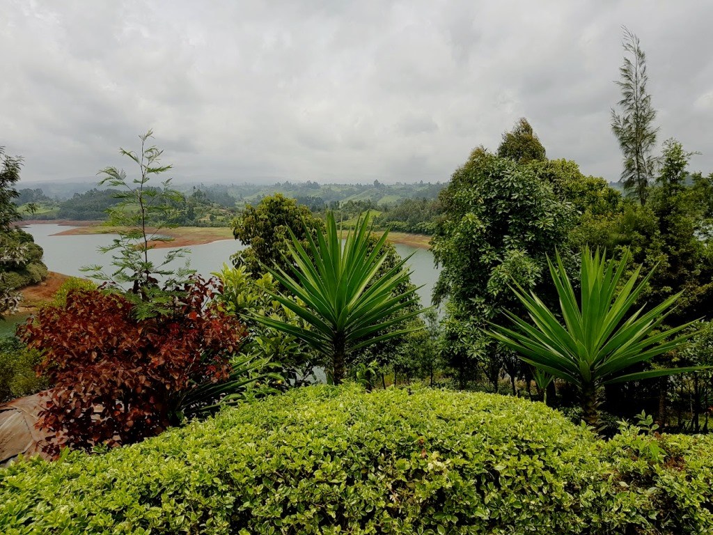 Muchiri’s Resort(住宿休闲 / 周末营地)-非行家旅行-Africa Wild Wander