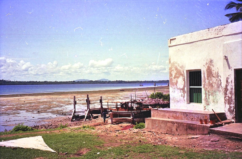 Chambocha Cemetery（斯瓦希里遗产 / 文化景观）-非行家旅行-Africa Wild Wander