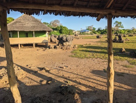 Wasini Island Boardwalk（瓦西尼岛红树林与珊瑚花园栈道）-非行家旅行-Africa Wild Wander