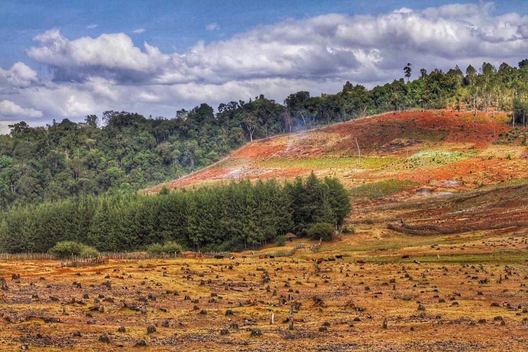 Lembus Forest-非行家旅行-Africa Wild Wander