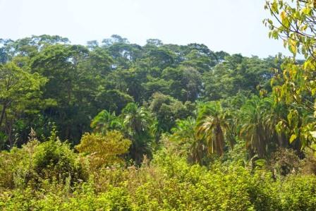 Kieiga Stone Woman（Ameru 文化 / 遗产）-非行家旅行-Africa Wild Wander