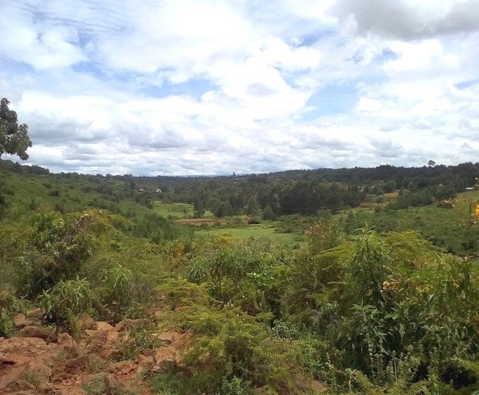 Kesses Falls(凯塞斯瀑布)-非行家旅行-Africa Wild Wander