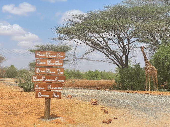 Garissa Giraffe Center（国家公园 / 保护区 / Safari）-非行家旅行-Africa Wild Wander