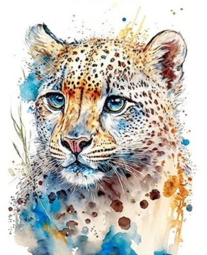 Wildlife in Kenya(野生动物 / 国家公园 / Safari)-非行家旅行-Africa Wild Wander