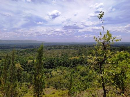 Udo Bandas(乌多营地小屋)-非行家旅行-Africa Wild Wander