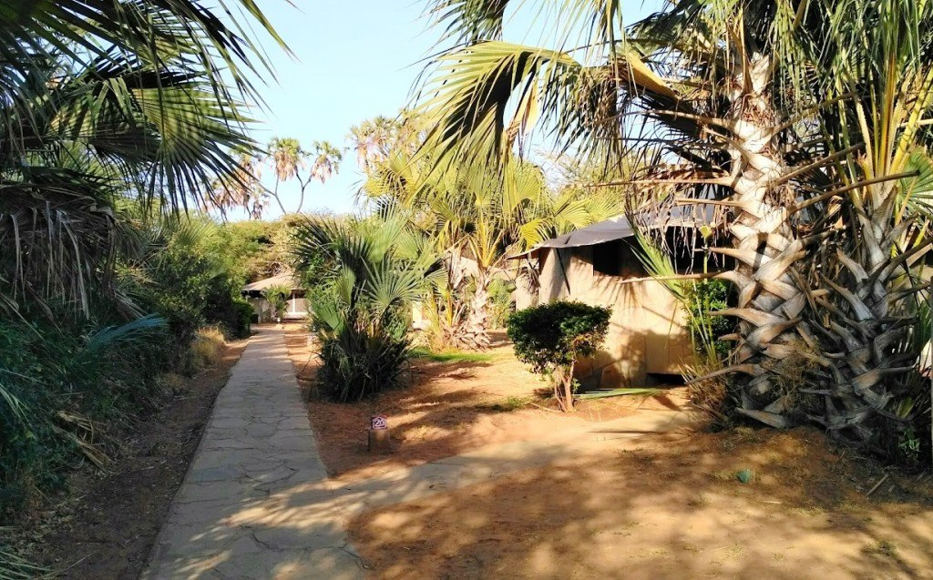 Ashnil Samburu Camp（Samburu-Buffalo-Shaba 保护区）-非行家旅行-Africa Wild Wander