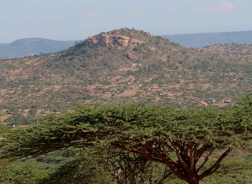 Oldonyiro Conservancy（国家公园 / 保护区 / Safari）-非行家旅行-Africa Wild Wander