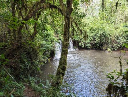 Ragati Conservancy（拉加蒂保护地）-非行家旅行-Africa Wild Wander