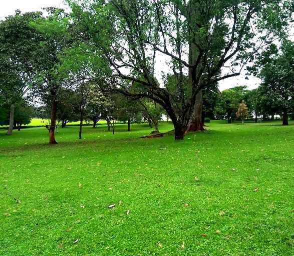 Chagaik Arboretum（查盖克树木园）-非行家旅行-Africa Wild Wander