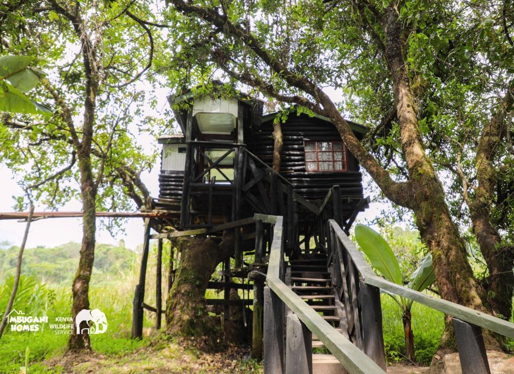 Tree Top Hut（树顶小屋）-非行家旅行-Africa Wild Wander