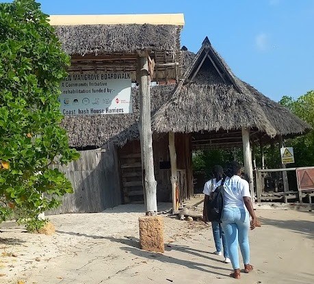 Gazi Women Mangrove Boardwalk（加齐女性红树林栈道）-非行家旅行-Africa Wild Wander
