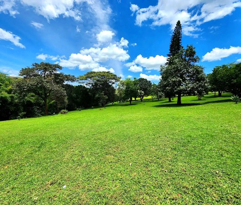 Chagaik Arboretum（查盖克树木园）-非行家旅行-Africa Wild Wander