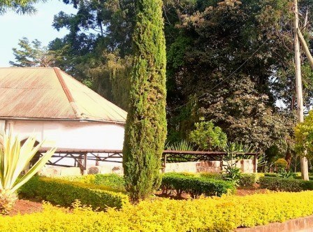PCEA Chogoria Church（乔戈里亚长老会教堂）-非行家旅行-Africa Wild Wander