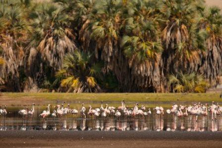 Turkana County（县域概览）-非行家旅行-Africa Wild Wander