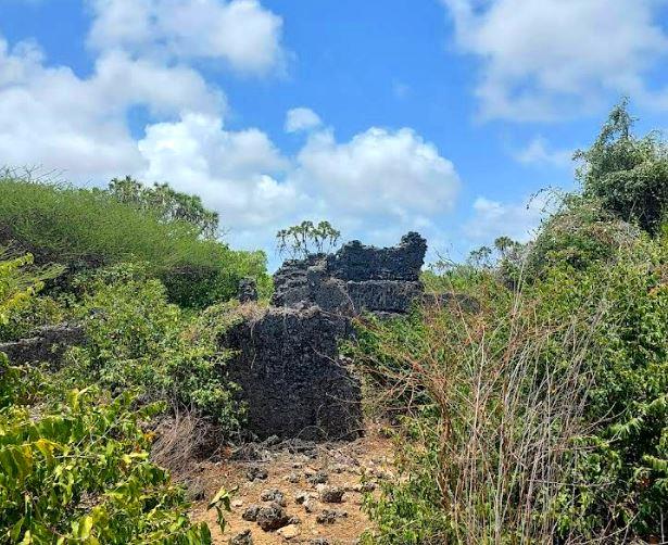 Shanga Ruins（尚加遗址）-非行家旅行-Africa Wild Wander