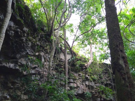 Kisula Caves（Chyulu / Kilimanjaro 视野）-非行家旅行-Africa Wild Wander