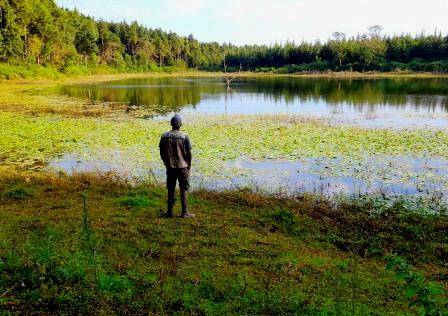 Njukiini Forest（恩朱基尼森林）-非行家旅行-Africa Wild Wander