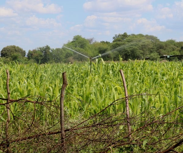 Weiwei Irrigation Scheme（水系 / 湖泊 / 海岸）-非行家旅行-Africa Wild Wander