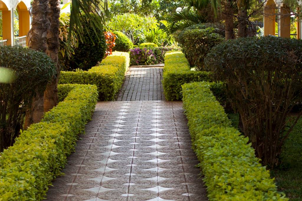 Almond Resort（住宿 / 营地）-非行家旅行-Africa Wild Wander