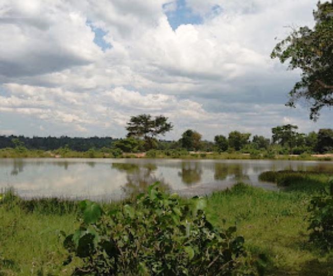 Muyayi Dam（水系 / 湖泊 / 海岸）-非行家旅行-Africa Wild Wander